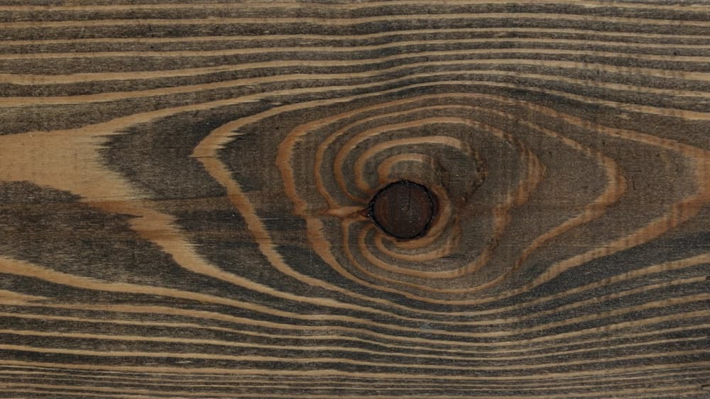 Дуб на лиственнице