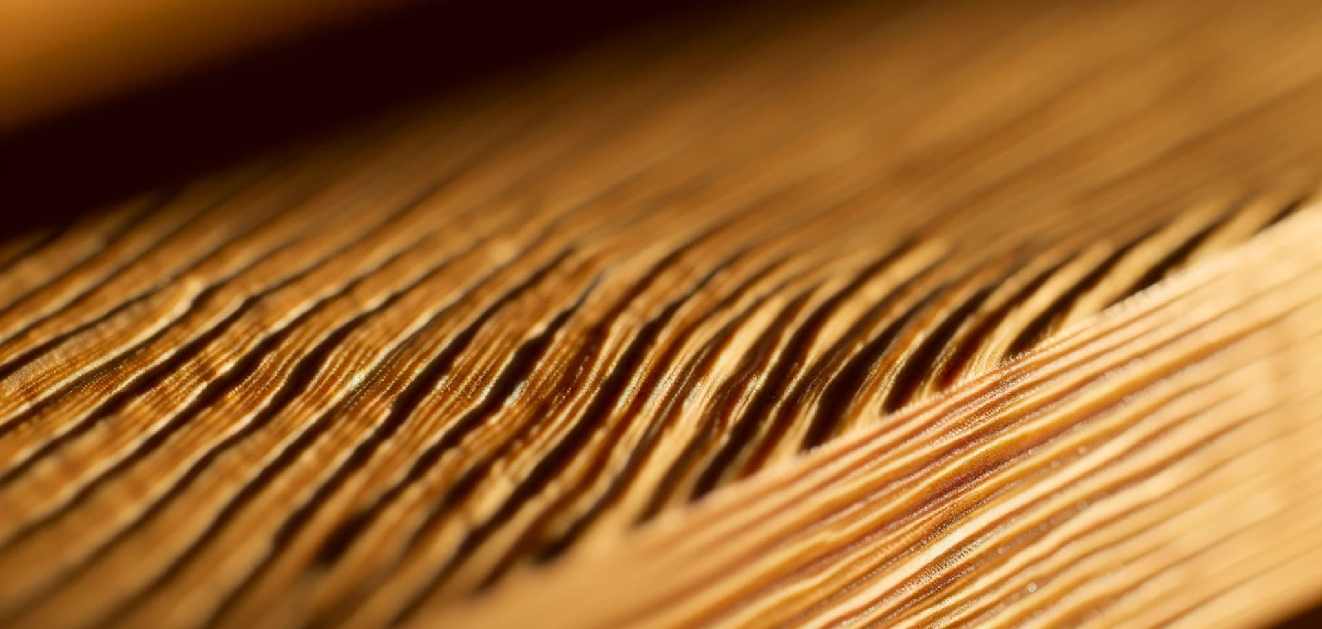 Бесцветное масло для дерева: естественная красота