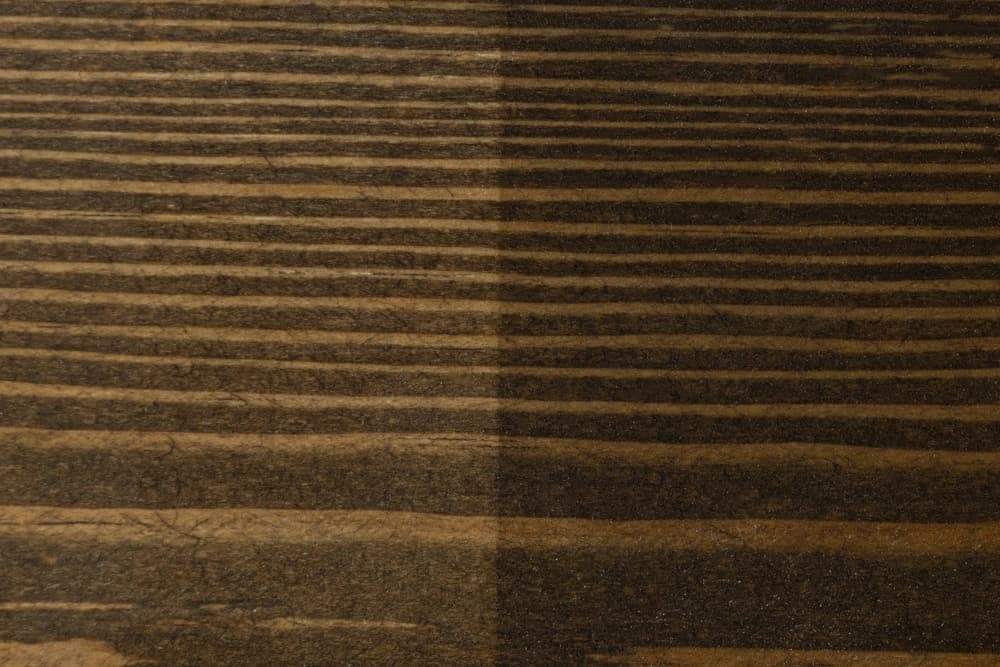 Дуб на сосне