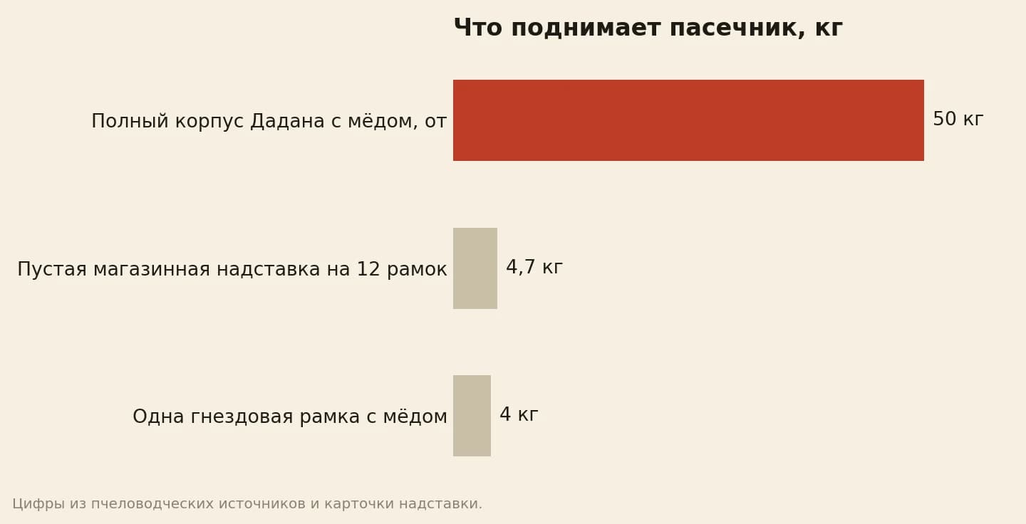 Вес в килограммах: полный корпус Дадана с мёдом — не меньше 50, пустая магазинная надставка на 12 рамок — 4,7, одна гнездовая рамка с мёдом — около 4