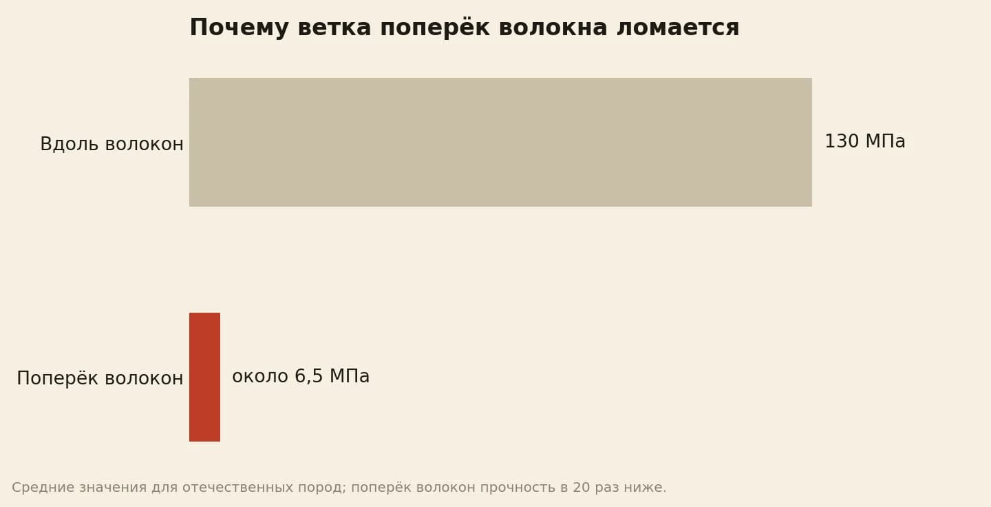 Прочность дерева при растяжении: вдоль волокон в среднем 130 МПа, поперёк волокон в 20 раз ниже, около 6,5 МПа