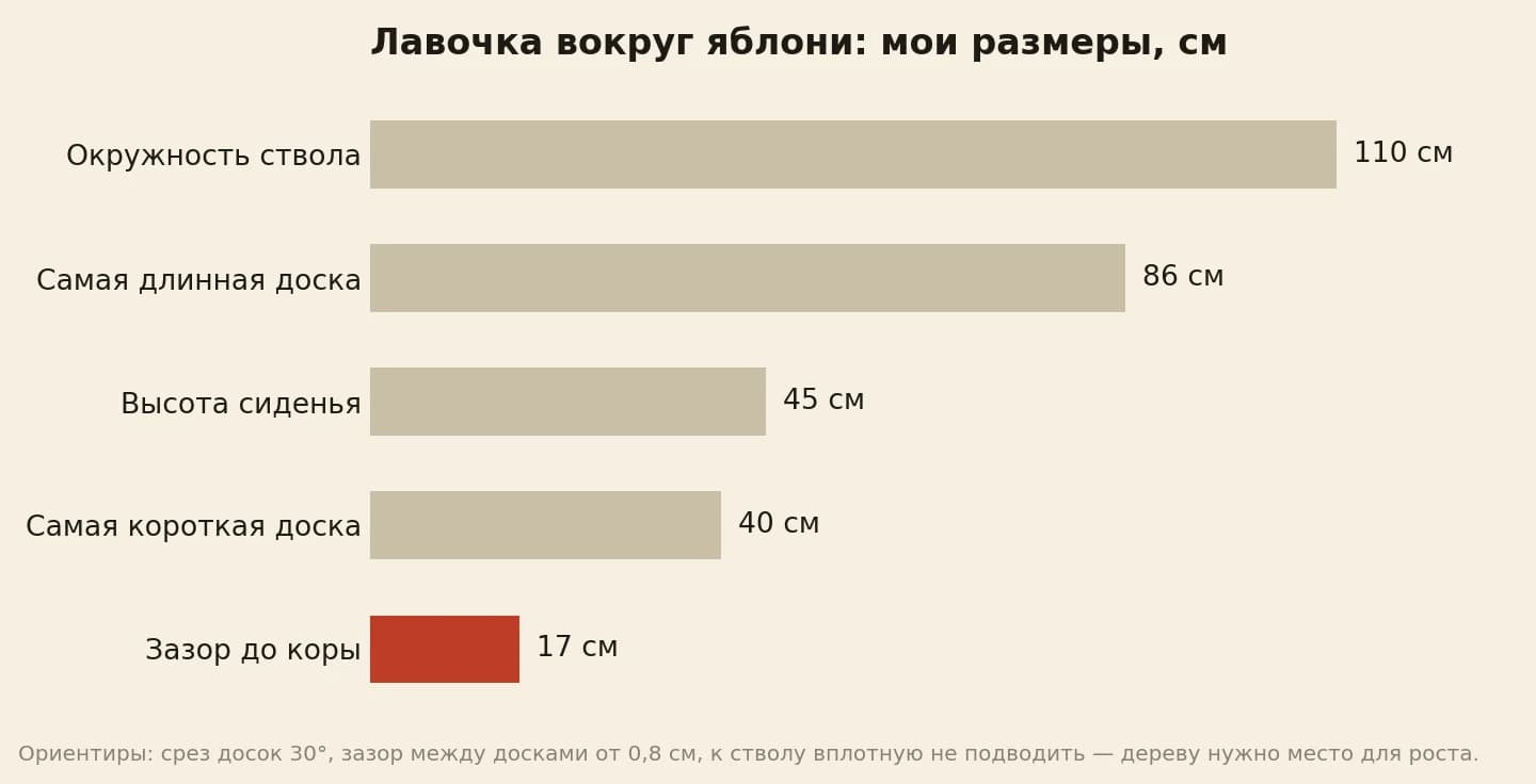 Размеры шестигранной лавочки из дерева вокруг яблони в сантиметрах: окружность ствола 110, самая длинная доска 86, высота 45, самая короткая доска 40, зазор до коры 17