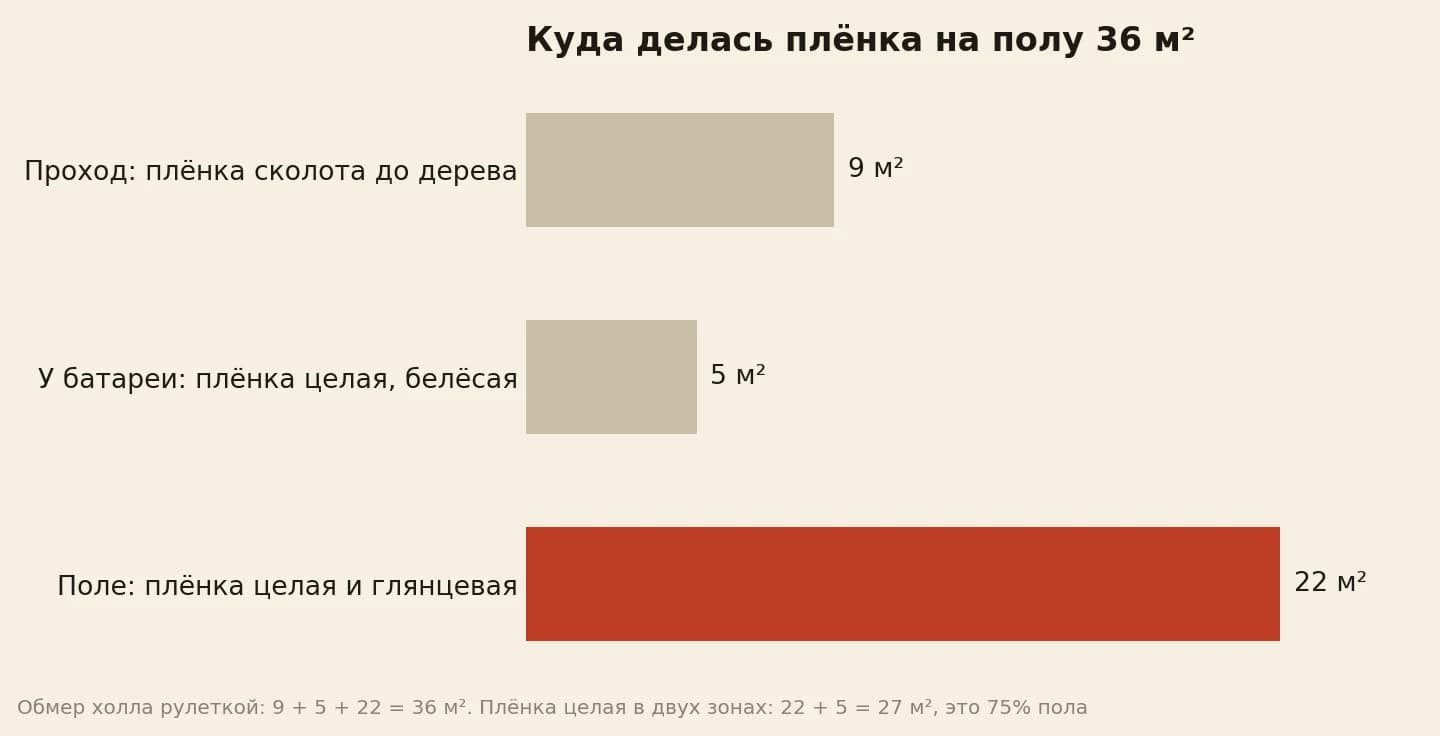 Холл 36 квадратов по зонам: сколотый проход 9, белёсая полоса у батареи 5, глянцевое поле 22