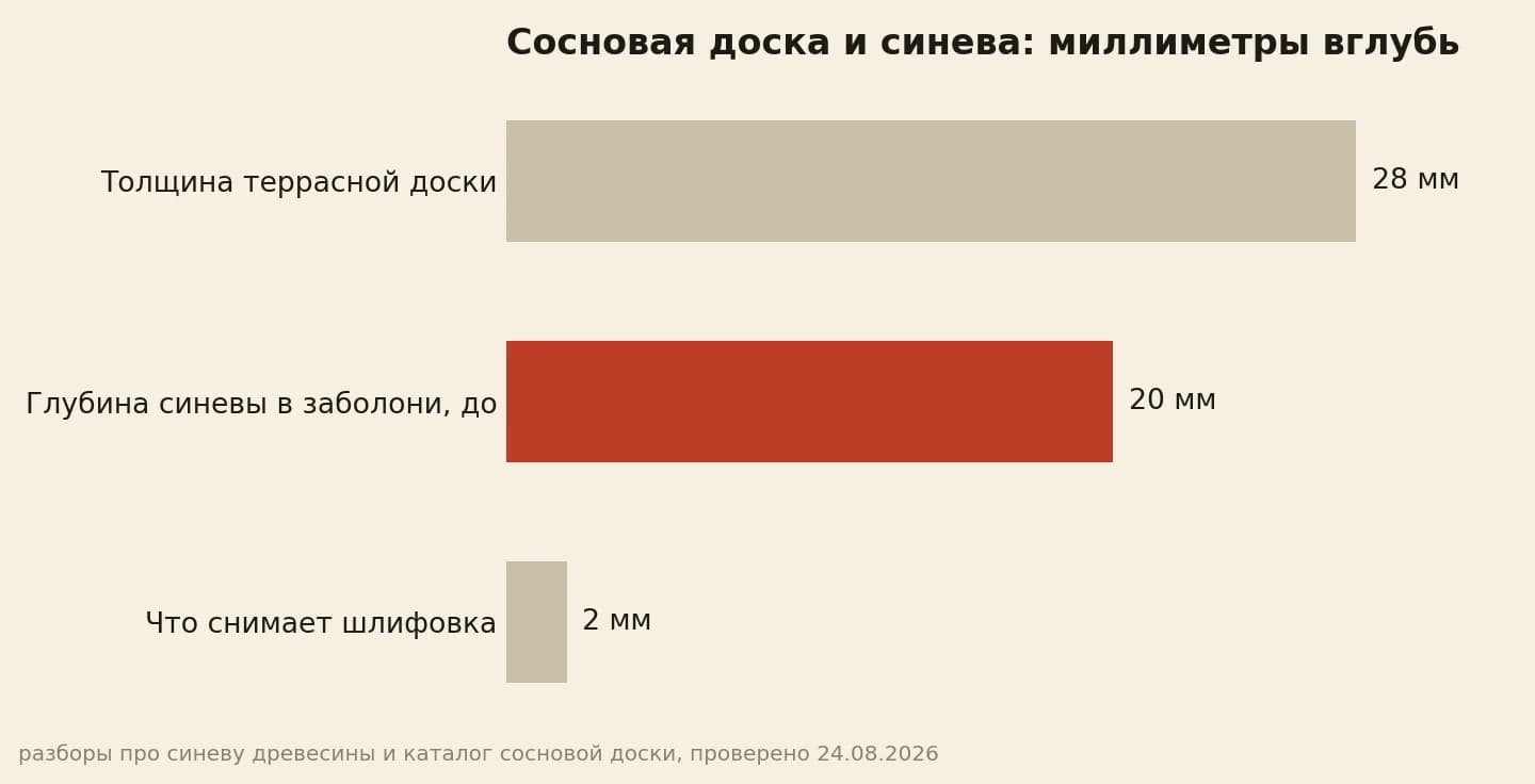 Сосновая доска в миллиметрах: толщина 28, синева уходит вглубь до 20, шлифовка снимает 2