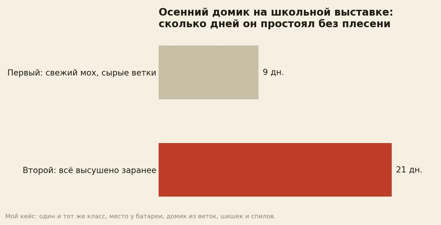Осенняя поделка на школьной выставке: домик из свежего мха и сырых веток продержался 9 дней до плесени, домик из высушенных материалов простоял все 21 день