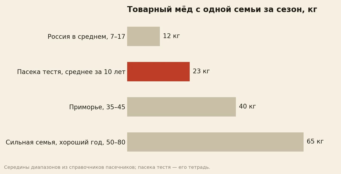 Сколько товарного мёда даёт семья за сезон в килограммах: в среднем по России 7–17, у тестя в среднем за десять лет 23, в Приморье 35–45, сильная семья в хороший год 50–80