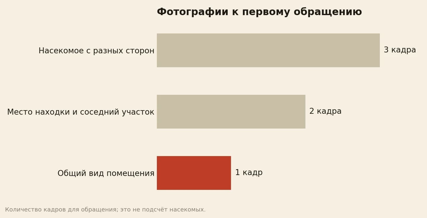 Набор для первого обращения: 3 кадра насекомого, 2 кадра места находки и 1 общий вид